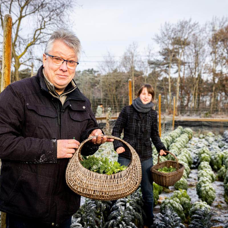 NLdoet Stadstuin Helmond