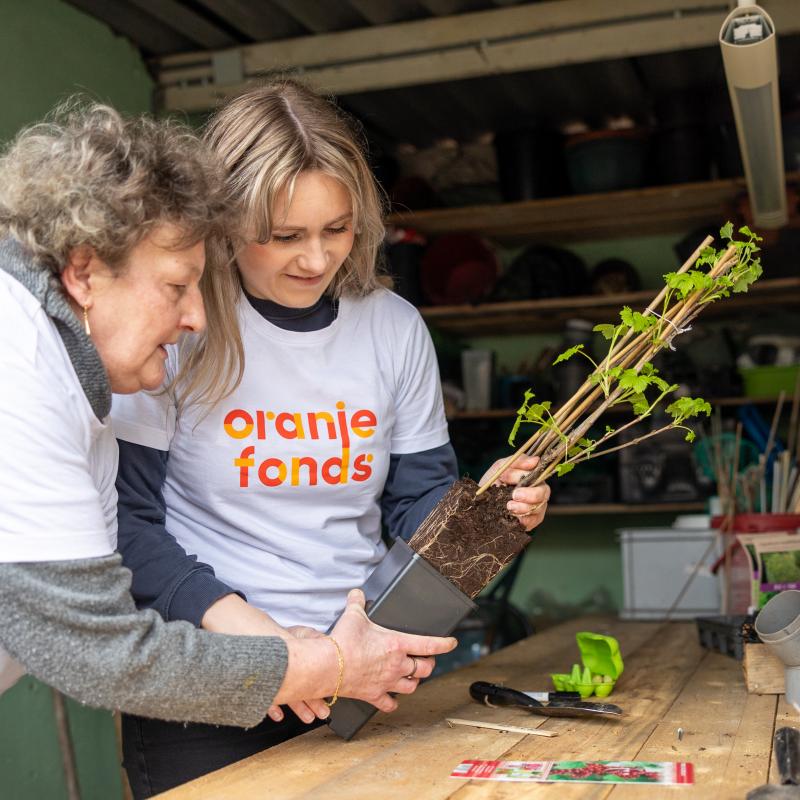 NLdoet 2024 Oranje Fonds